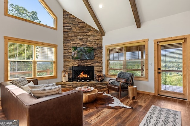 living room with a fireplace, hardwood / wood-style flooring, high vaulted ceiling, and a wealth of natural light