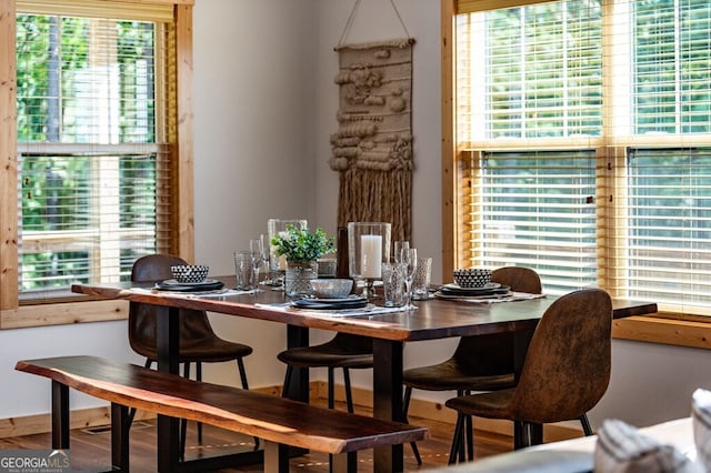 dining area with hardwood / wood-style flooring and plenty of natural light