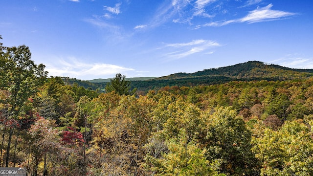 view of mountain feature