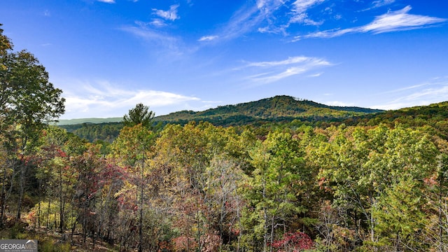 property view of mountains