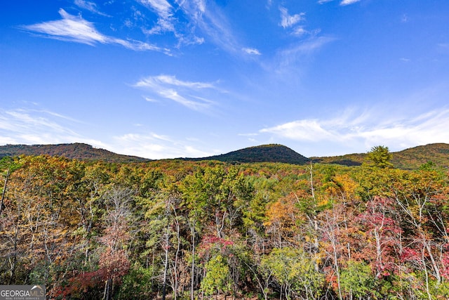 property view of mountains