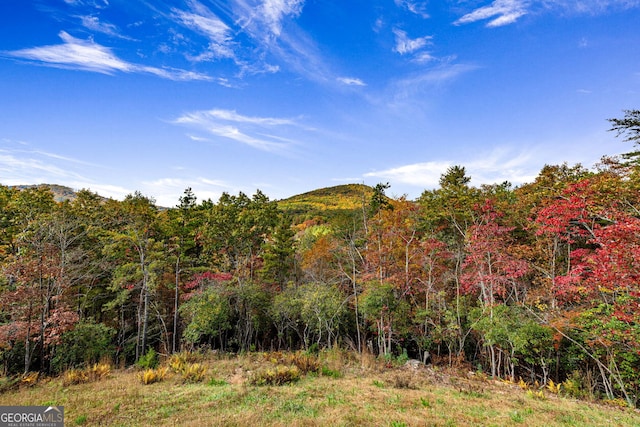 view of nature