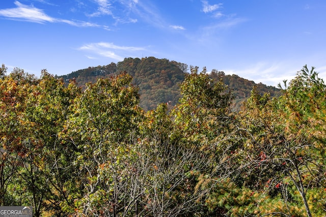 property view of mountains