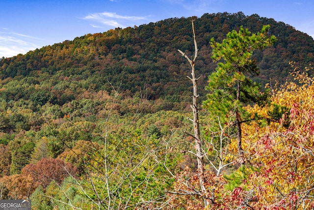 view of mountain feature