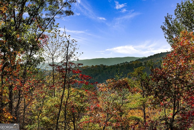 property view of mountains