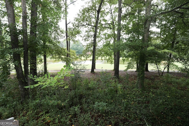 view of local wilderness