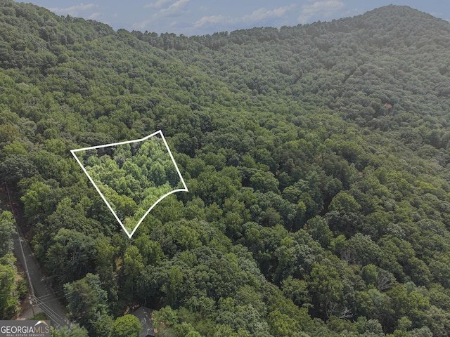 M98 Sleepy Hollow Rd, Ellijay GA, 30536 land for sale