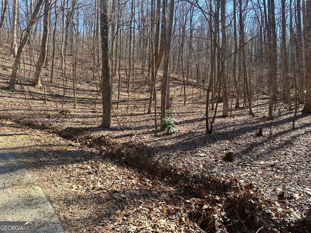 Listing photo 2 for M98 Sleepy Hollow Rd, Ellijay GA 30536