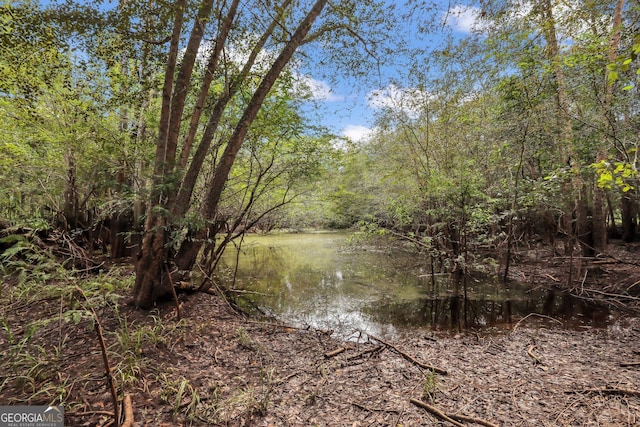 view of local wilderness featuring a water view