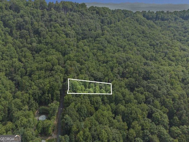 M100 Skyview Dr, Ellijay GA, 30536 land for sale