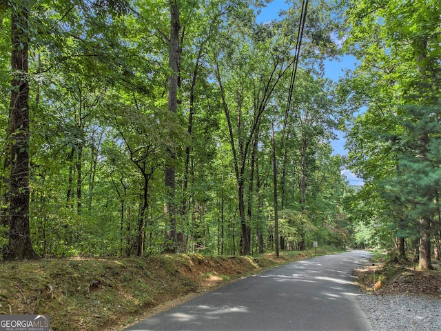 Listing photo 2 for M100 Skyview Dr, Ellijay GA 30536