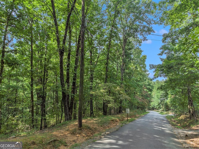 Listing photo 3 for M100 Skyview Dr, Ellijay GA 30536