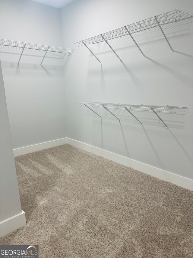 walk in closet featuring carpet floors