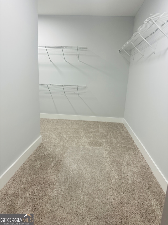 spacious closet with carpet