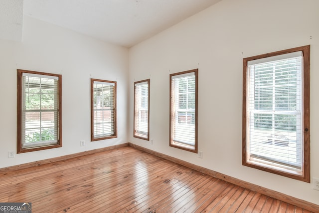 spare room featuring a wealth of natural light and light wood-type flooring