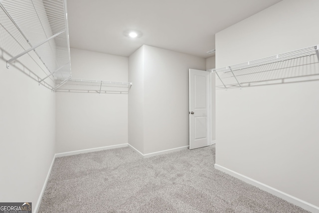 spacious closet featuring light colored carpet