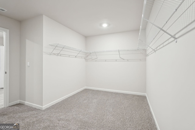 walk in closet with carpet