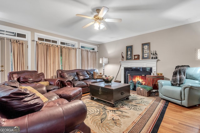 living area featuring a ceiling fan, wood finished floors, and ornamental molding