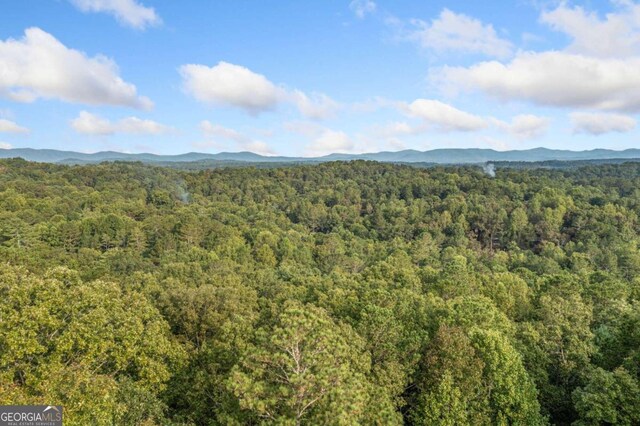 0 Gunite Cir, Ellijay GA, 30540 land for sale