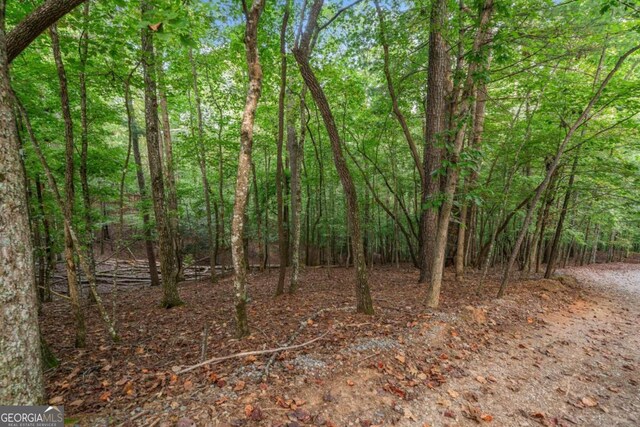 Listing photo 3 for 0 Gunite Cir, Ellijay GA 30540