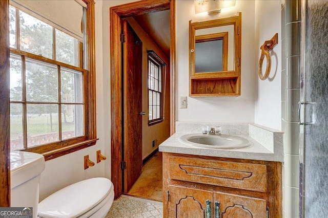 bathroom with toilet and vanity