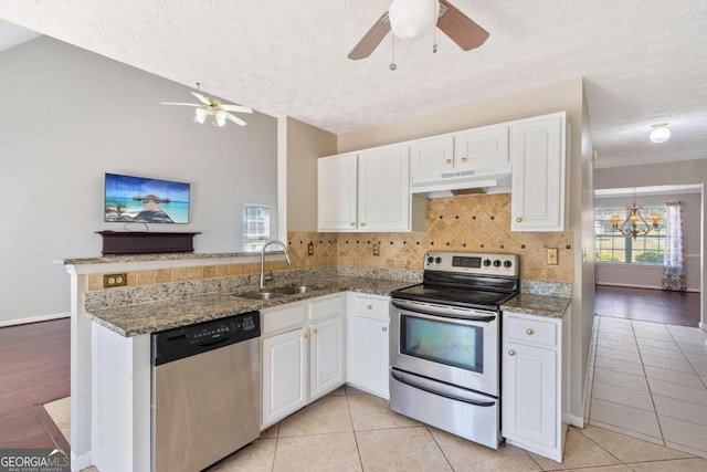 kitchen featuring appliances with stainless steel finishes, ceiling fan with notable chandelier, sink, and kitchen peninsula