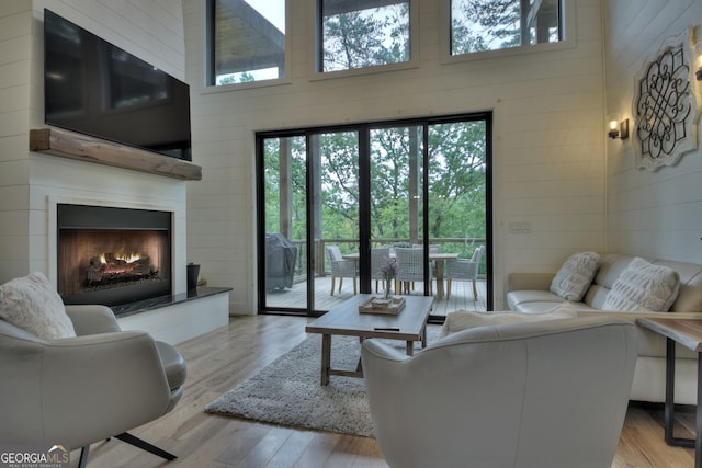 living room with light hardwood / wood-style floors and a high ceiling