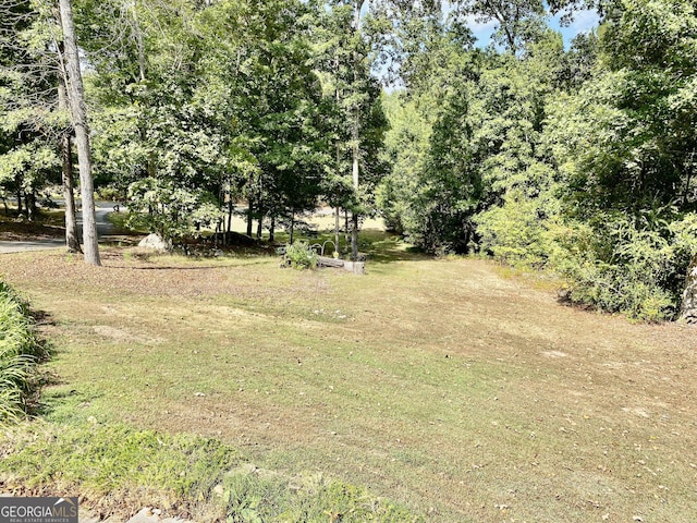 1832 Wayside Rd, Kingston, GA 30145 - view of yard