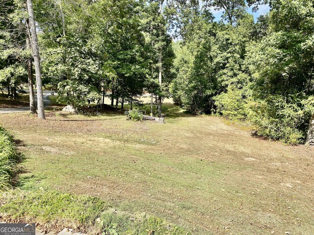 1832 Wayside Rd, Kingston, GA 30145 - view of yard