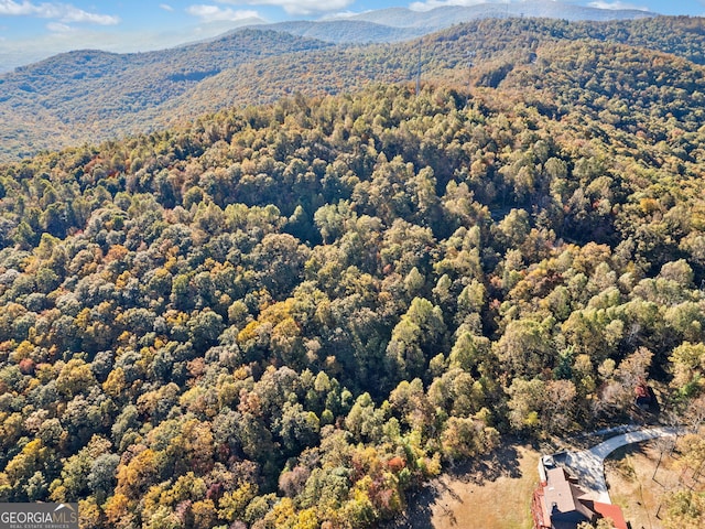 aerial view with a mountain view