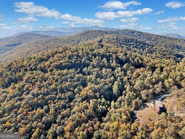 view of mountain feature