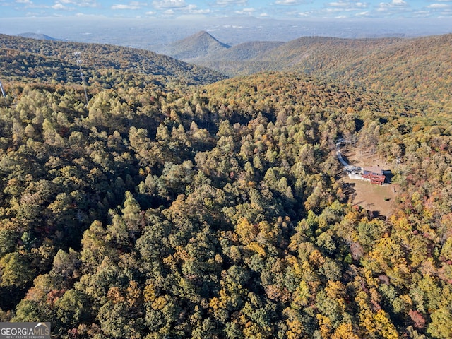 property view of mountains