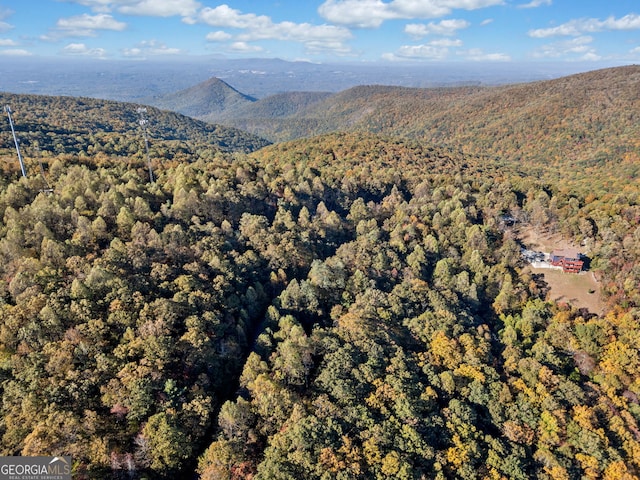 property view of mountains