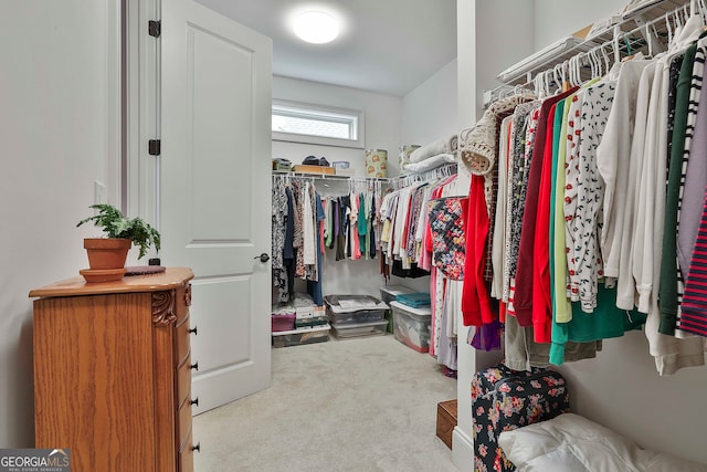 spacious closet with light colored carpet