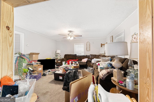 carpeted living room featuring a textured ceiling, crown molding, and ceiling fan