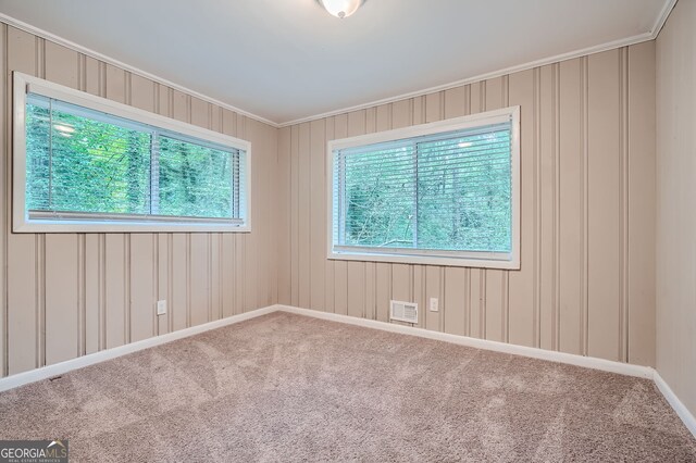 spare room with ornamental molding, wooden walls, carpet, and a healthy amount of sunlight