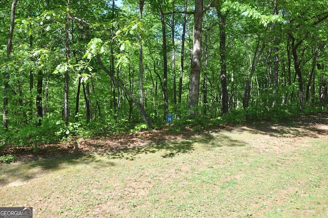 Listing photo 3 for 94 Doll Mountain Rd, Ellijay GA 30540