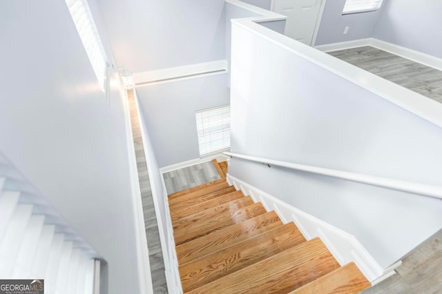 stairway featuring hardwood / wood-style floors