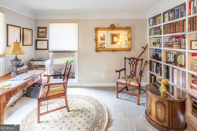 office space featuring a textured ceiling, crown molding, and carpet flooring