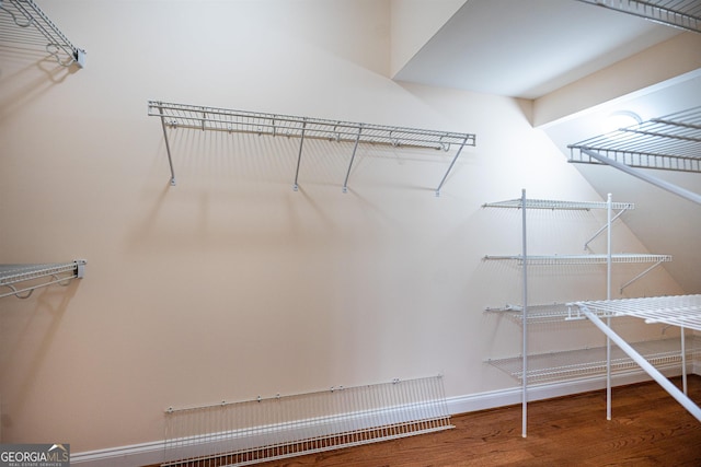 walk in closet featuring hardwood / wood-style floors