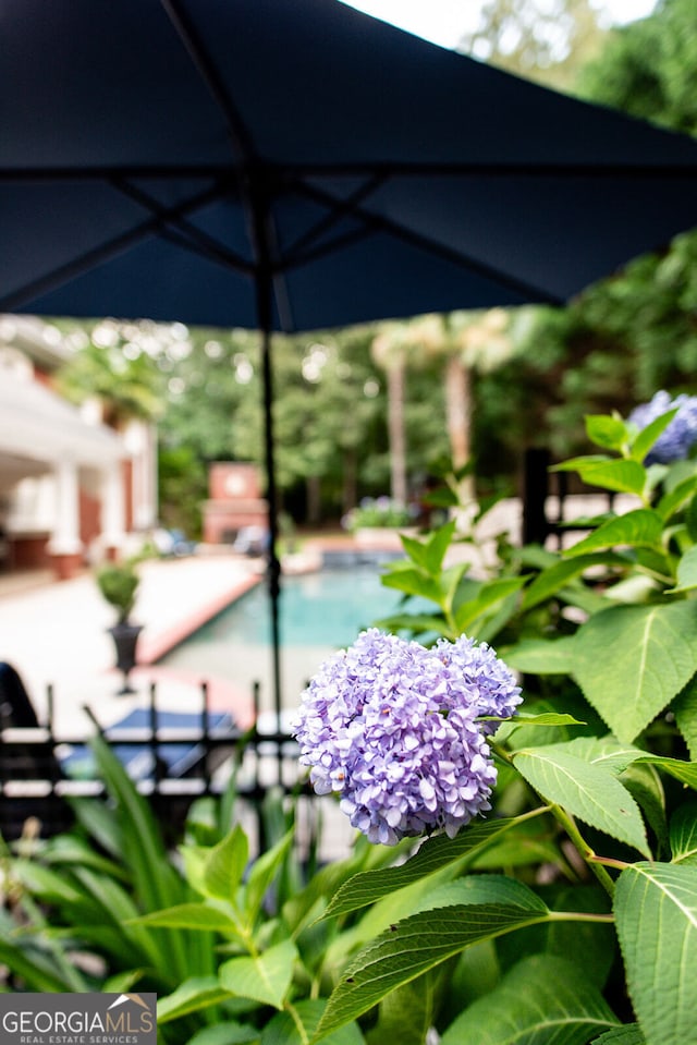 view of pool