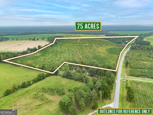 birds eye view of property featuring a rural view