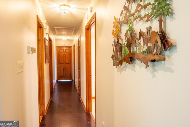 corridor featuring dark hardwood / wood-style flooring