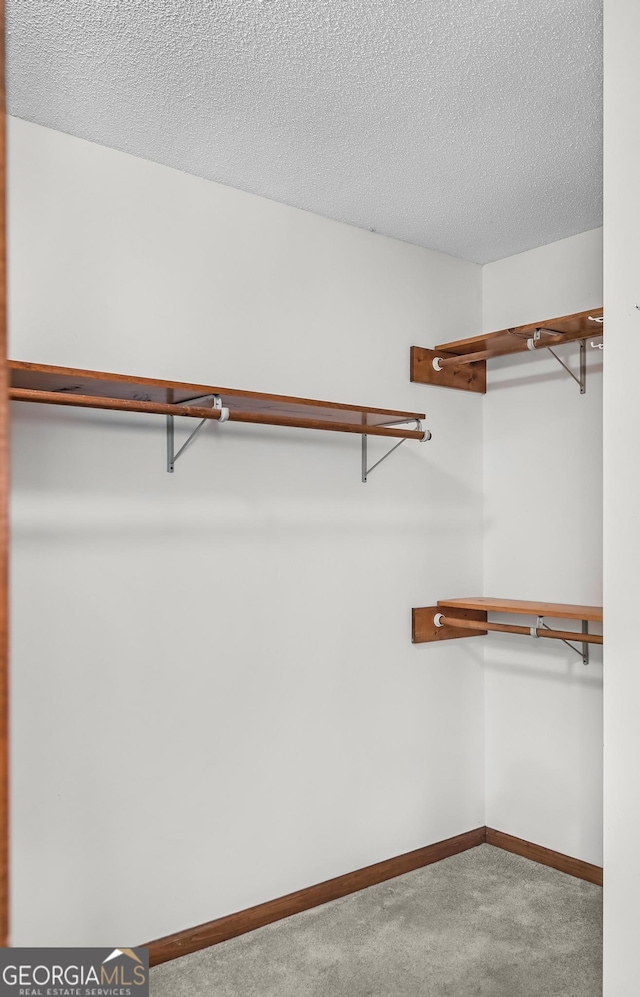 4909 Perry Rd, Claxton, GA 30417 - spacious closet with carpet flooring