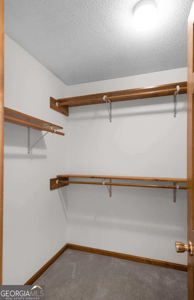 4909 Perry Rd, Claxton, GA 30417 - spacious closet with carpet