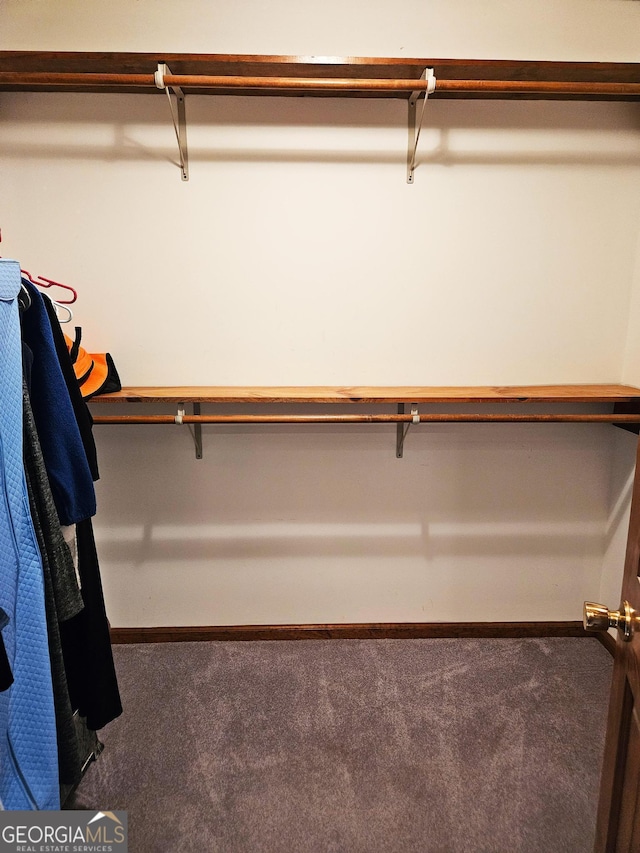 spacious closet featuring carpet flooring