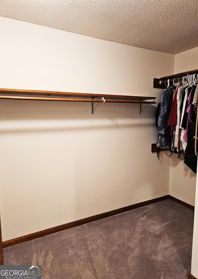 walk in closet featuring carpet flooring