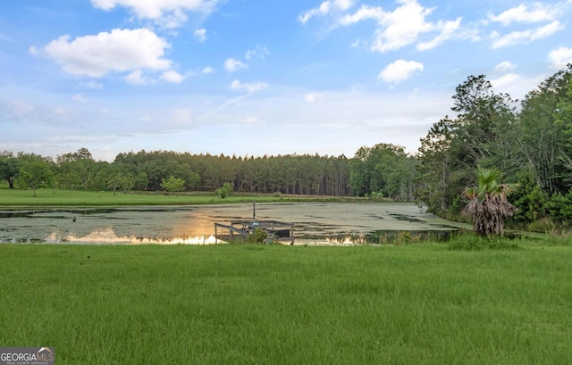 4909 Perry Rd, Claxton, GA 30417 - view of yard featuring a water view and a view of trees