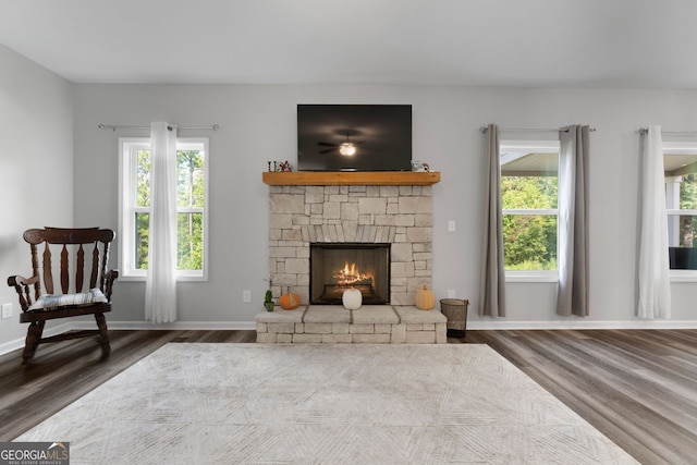 living room with wood-type flooring and a fireplace