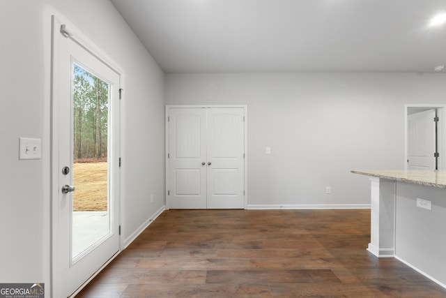 interior space featuring dark hardwood / wood-style floors